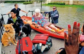  ??  ?? TOP: An elderly woman and her pet prepare to be evacuated. ABOVE: Officials remove a 2,7m alligator that was discovered in the dining room by an evacuee on his return home. BELOW: Heroic efforts were made to rescue frightened residents in Dickinson,...