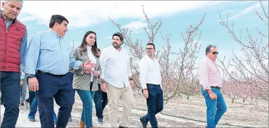  ?? LA RAZÓN ?? El presidente López Miras, ayer durante su visita a uno de los cultivos de fruta de hueso en plena floración de Cieza