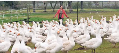  ?? FOTO: STEPHAN EICKERSHOF­F ?? Marita Mosch auf ihrem Hof in Mündelheim mit ihrer Gänseherde.