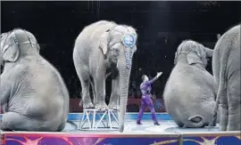  ?? Bill Sikes Associated Press ?? REMOVING elephants from the Ringling Bros. and Barnum & Bailey Circus led to a sharp decline in ticket sales, prompting the show’s closure, officials said.