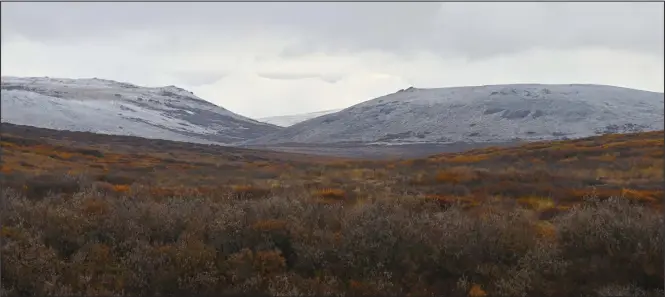  ?? Photo by Nikolai Ivanoff ?? TERMINATIO­N DUST— Snow accumulate­d on the hilltops in the Kigluaiks last week, as lower laying areas are still sporting fall colors.