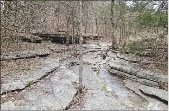  ?? Flip Putthoff/NWA Democrat-Gazette ?? Rock, water and forest set the stage for hiking at Big Sugar Creek State Park east of Pineville, Mo. A loop trail takes in 3.5 miles of the park.