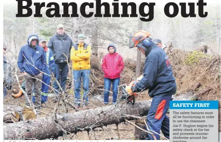  ?? ALISON JENKINS/ JOURNAL PIONEER ?? Joe P. Hughes limbs a tree using techniques discussed in the classroom.