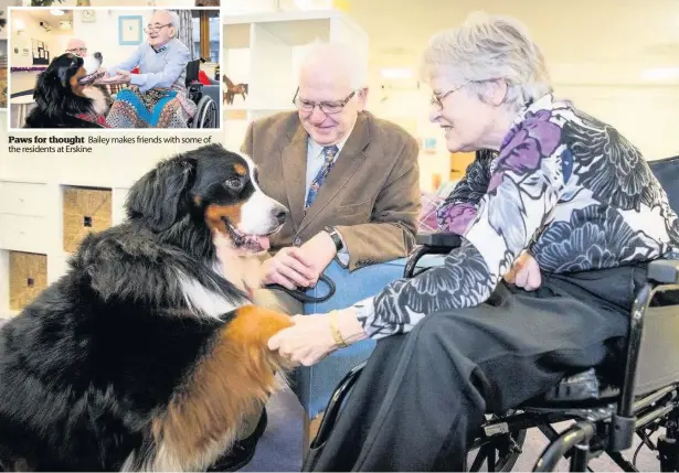  ??  ?? Paws for thought Bailey makes friends with some of the residents at Erskine