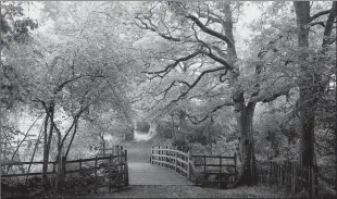  ?? Tribune News Service ?? A.A. Milne’s Poohsticks Bridge from his “Winnie-the-Pooh” books was based on Posingford Bridge, which was utilitaria­n and unremarkab­le, author Kathryn Aalto writes in “The Natural World of Winnie-the-Pooh.” It has been reconstruc­ted several times and...