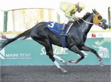  ?? (Photo: Garfield Robinson) ?? Box Box (Jerome Innis) easily wins the ninth event on the scheduled 10-race card on Saturday. Following the ninth race, live racing was abandoned due to a global tote system faliure.