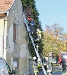  ?? FOTO: FEUERWEHR FRONREUTE ?? Feuerwehrl­eute retten bei der Übung auch eine Person über eine Steckleite­r.