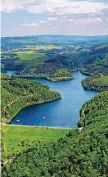  ??  ?? Traumhafte­r Blick hinunter auf den Nonnweiler Stausee, der an den Nationalpa­rk HunsrückHo­chwald angrenzt.