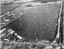  ?? Photograph: AP ?? They were 600,000 strong … Isle of Wight, 1970.