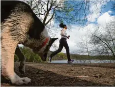  ?? Symbolfoto: dpa ?? Hunde interessie­ren sich für Jogger und rennen ihnen teils sogar hinterher. Für die Läufer ist das eine sehr unangenehm­e Situation.