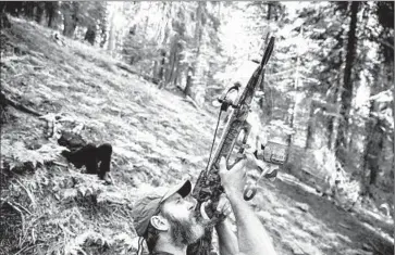  ??  ?? AMBROSE AIMS his crossbow to shoot a monofilame­nt fishing line attached to a rod over a strong branch. The line is then replaced with rope to enable researcher­s to climb the sequoia and study its leafy canopy.