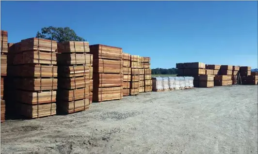 Advancing mine timber technology - PressReader