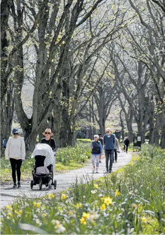  ?? Photo / Alex Burton ?? It’s goodbye to winter as people step out to enjoy a sunny day at Cornwall Park, One Tree Hill, in Auckland, yesterday.