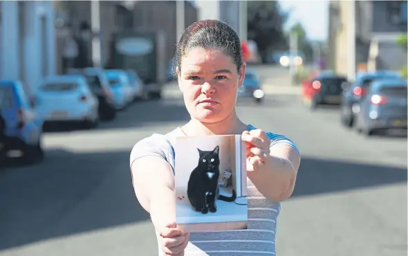  ?? Picture: Mhairi Edwards. ?? Lorna Ogilvie, with a photograph of her pet Sylvester, wants the law changed to make it a requiremen­t for drivers who kill cats on the roads to report incidents to the police.