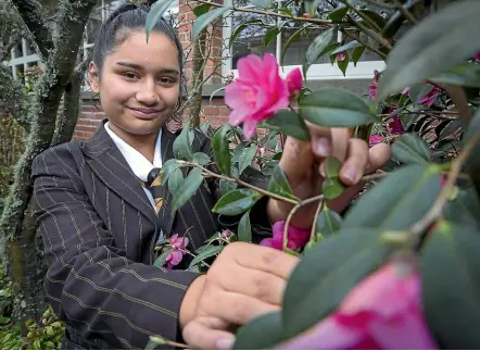  ?? MURRAY WILSON/STUFF ?? Nga Tawa Diocesan School student Jeph Hawe’s science project could help protect the environmen­t.