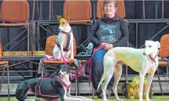  ?? FOTOS: DPA ?? Die Hundebesit­zerin Janine Moll wartet auf den Auftritt ihrer Hunde beim Casting.