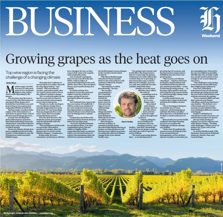  ??  ?? Marlboroug­h’s vineyards cover 26,000ha — and still growing.