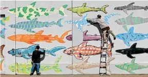  ?? CHRIS SKELTON/STUFF ?? BMD’S shark finning protest mural has appeared in an unauthoris­ed calendar and features in several stock photo libraries.