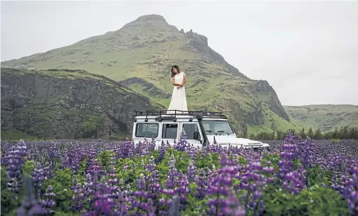  ?? LENA MUCHA THE NEW YORK TIMES ?? Many people consider lupine fields like this beautiful, but others are demanding the invasive species be eliminated.