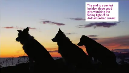  ??  ?? The end to a perfect holiday, three good girls watching the fading light of an Ardnamurch­an sunset.