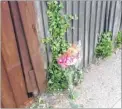  ??  ?? Broken fencing near the Sturry crossing and flowers left at the scene of the accident