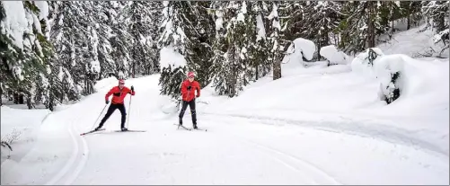  ?? Special to The Okanagan Saturday ?? Guy Paulsen, former Nordic manager and now destinatio­n marketing representa­tive, and Shane Landrevill­e, Silver Star’s new Nordic and bike programs manager, check out the snow conditions on the Vernon resort’s crosscount­ry trails, above.