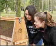  ??  ?? Sophia Blank and Sandra Rosales check out Meadowview Beekeeping’s bees.