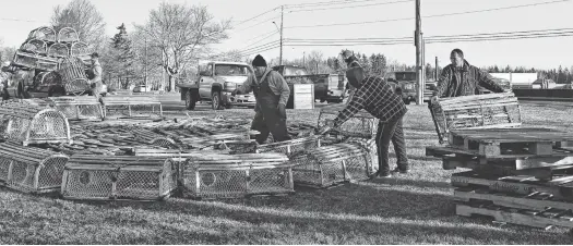  ?? RUBY ARSENAULT/SPECIAL TO THE GUARDIAN ?? Fishermen from the Tignish area lay the base of the Lobster Trap Tree on Tuesday morning. This is the second year the tree has been put built in honour of fishermen and in memory of those who have died.