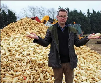  ??  ?? Past-it parsnips: Hugh Fearnley-Whittingst­all with a pile of vegetables deemed ‘imperfect’
