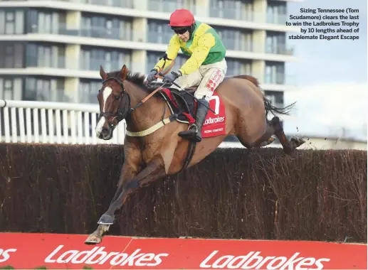  ??  ?? Newbury Racecourse, Berks
Sizing Tennessee (Tom Scudamore) clears the last to win the Ladbrokes Trophy
by 10 lengths ahead of stablemate Elegant Escape