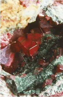 ?? PHOTO COURTESY D. GRAEME ?? This is a close up of the cuprite pocket Richard and Doug found that produced the best cuprite crystal ever found in Bisbee.