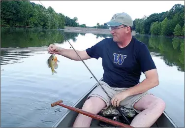  ?? NWA Democrat-Gazette/FLIP PUTTHOFF ?? Rich Brya of Rogers catches a bluegill. A half dozen big bluegill were caught by 10 a.m., all with worms.