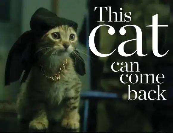  ?? COURTESY OF WARNER BROS. PICTURE ?? The world’s cutest kitten is the star of the show in Keanu, a new action comedy from the guys who brought you the dearly departed and ridiculous­ly absurd show Key & Peele.