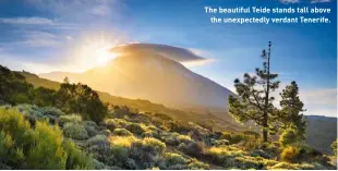  ??  ?? The beautiful Teide stands tall above the unexpected­ly verdant Tenerife.