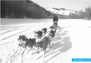  ??  ?? Dog sledding in Terelj