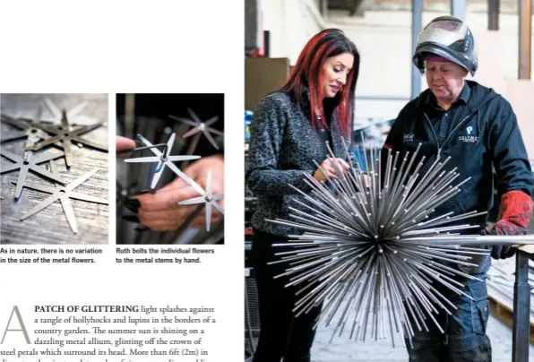  ??  ?? As in nature, there is no variation in the size of the metal flowers. Ruth bolts the individual flowers to the metal stems by hand. Stems are welded onto a central core, making sure they are spaced correctly. Some have different lengths and finishes that can create an interestin­g light effect.