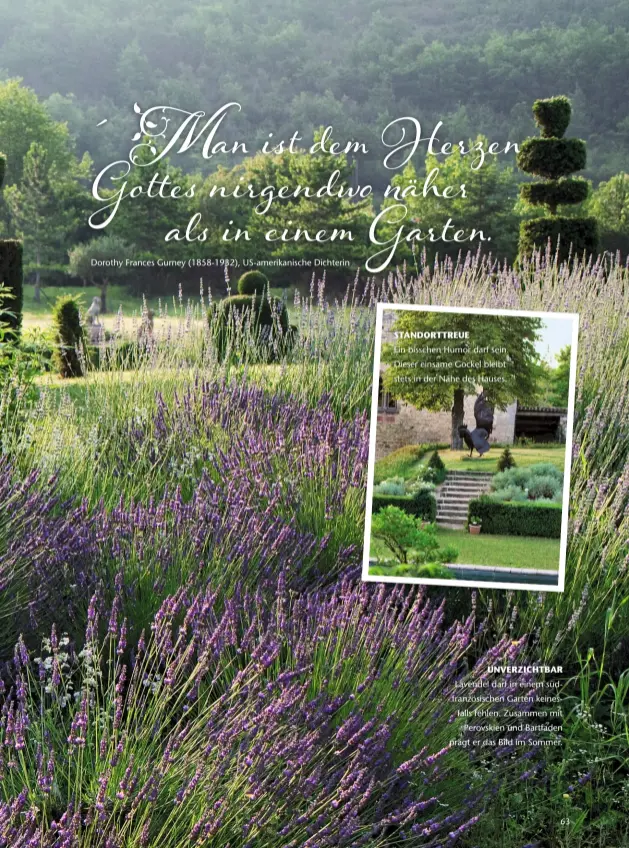  ??  ?? UNVERZICHT­BAR Lavendel darf in einem südfranzös­ischen Garten keinesfall­s fehlen. Zusammen mit Perovskien und Bartfaden prägt er das Bild im Sommer.