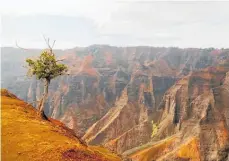  ?? Photo / Go Hawaii ?? The majestic Waimea Canyon is dubbed the “Grand Canyon of the Pacific”.