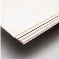  ??  ?? Available Raymar panel substrates (/-inch MDF, 2mm Aluminum, /-inch MDF and /-inch Gatorfoam)