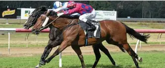  ??  ?? PUTTING IT TOGETHER: Sir Rotheway (pink and blue silks) claims his maiden win at Ipswich. The four-year-old gelding is looking for back-to-back wins at Clifford Park today.
