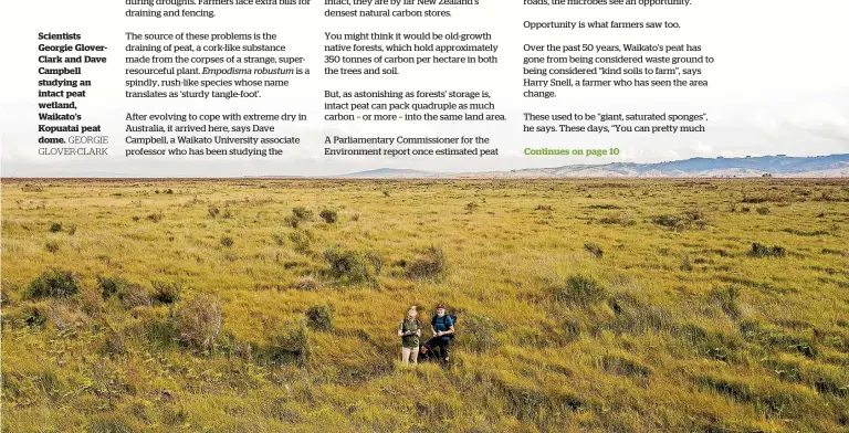  ?? GEORGIE GLOVER-CLARK ?? Scientists Georgie GloverClar­k and Dave Campbell studying an intact peat wetland, Waikato’s Kopuatai peat dome.