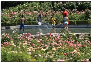  ?? (AP/The Oregonian/Mark Graves) ?? With temperatur­es exceeding 110 degrees Sunday in Portland, Ore., people gather at Peninsula Park to cool off.