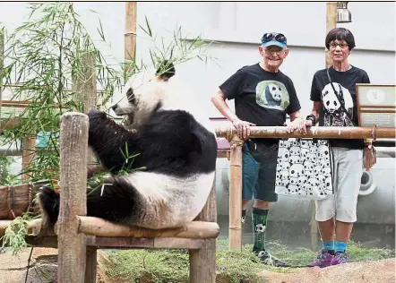  ??  ?? Totally smitten: William and Karom visiting Nuan Nuan at the Giant Panda Conservati­on Centre in Zoo Negara.