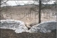  ?? CHRISTINA CORNEJO/NEWS-SENTINEL ?? Mokelumne River water rushes into a vineyard off of Victor Road east of Lodi as crews work to place a wall of sandbags to reinforce the levee at the break on Monday.