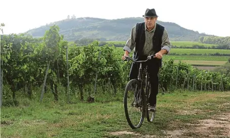  ?? FOTO BIOSCOP ?? Kozderka. Spolehlivě neúspěšný vinař v podání Miroslava Táborského.