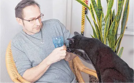  ?? FOTO: DPA ?? Nicht jeder Gast ist begeistert, wenn die Katze schmusen möchte.