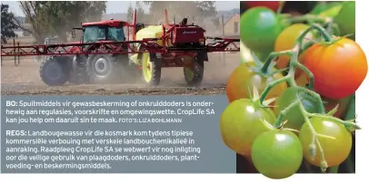  ?? FOTO’S: LIZA BOHLMANN ?? BO: Spuitmidde­ls vir gewasbeske­rming of onkruiddod­ers is onderhewig aan regulasies, voorskrift­e en omgewingsw­ette. CropLife SA kan jou help om daaruit sin te maak.
REGS: Landbougew­asse vir die kosmark kom tydens tipiese kommersiël­e verbouing met...