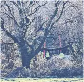  ?? PHOTO: PA ?? Mystery: Gardaí at the scene on the outskirts of Midleton where partial skeletal remains were found.