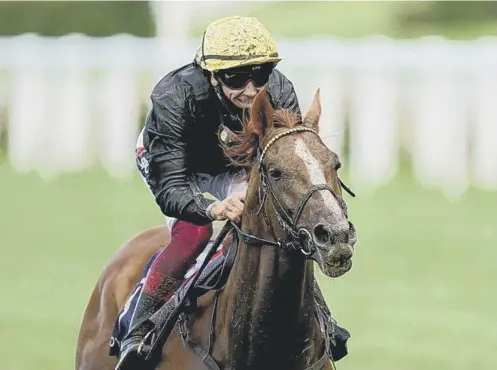  ??  ?? 0 Champion stayer Stradivari­us will be bidding to regain his title in the Qipco British Champions Long Distance Cup at Ascot today.