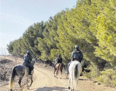  ?? DELEGACIÓN DEL GOBIERNO ?? Hace un año, Interior reforzó la seguridad en la Comarca de Valdejalón con guardias civiles a caballo.